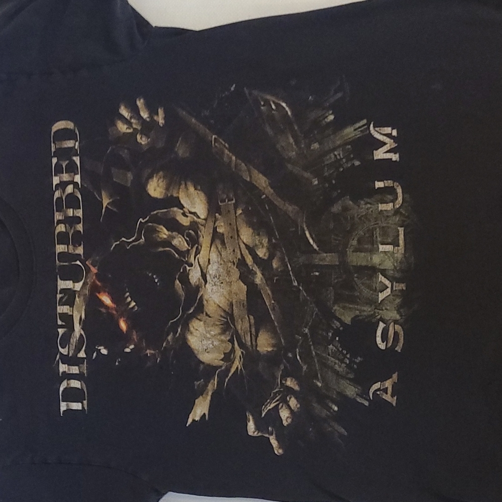 Band tees- Disturbed concert tee